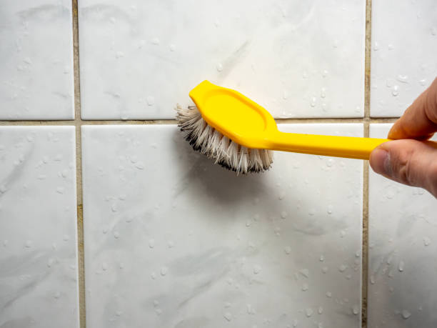 Best Emergency Mold Remediation in Black Mountain, NC
